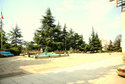 территория1