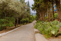 Territoriya